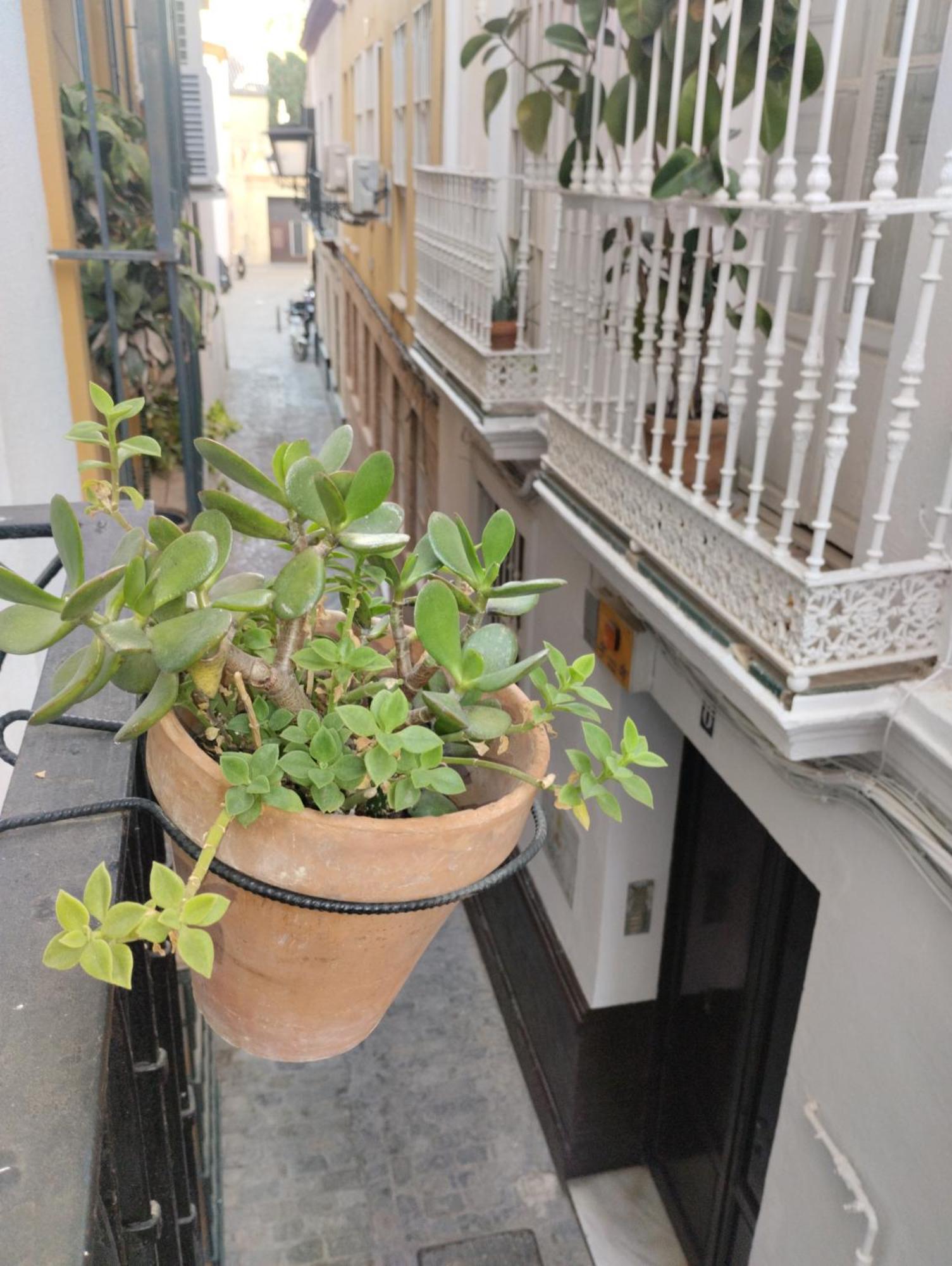 Apartamento Lanza. En El Corazón De Sevilla Exterior foto